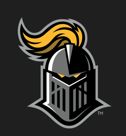 Picture of a Knight's Armoured Head